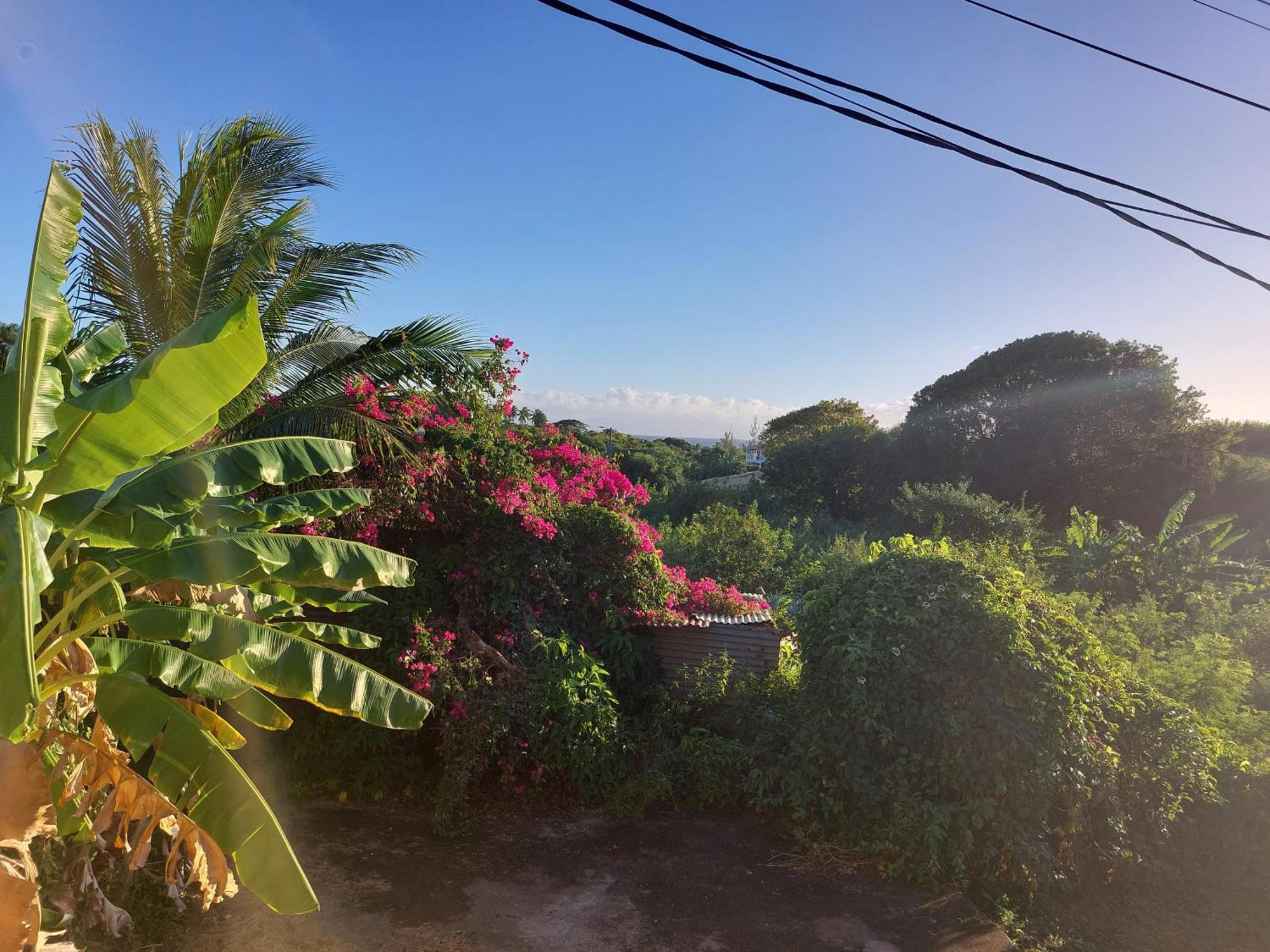 La Jemeli Hotel Grand-Bourg  Luaran gambar